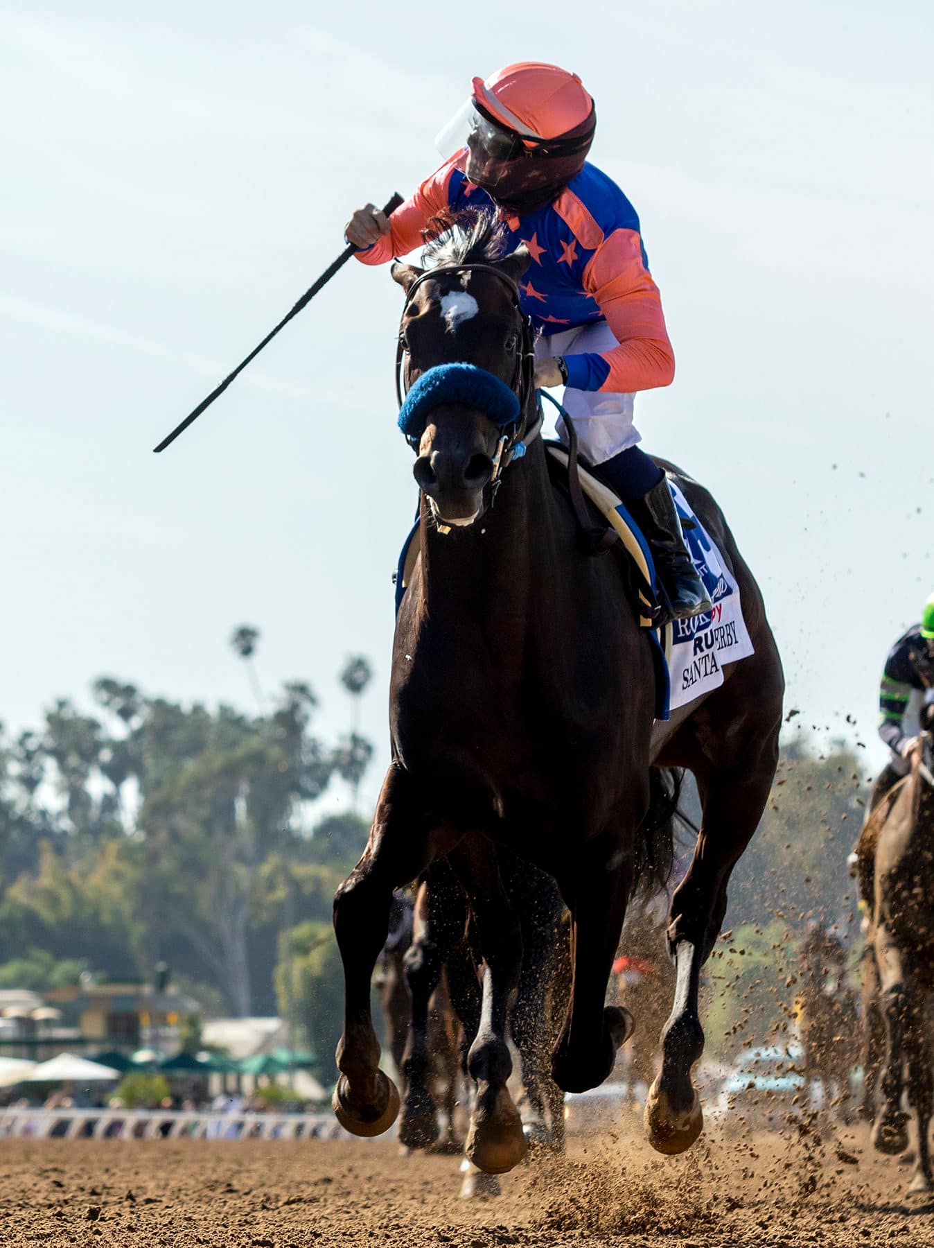 Rock Your World Thoroughbred Stallion at Spendthrift Farm, KY