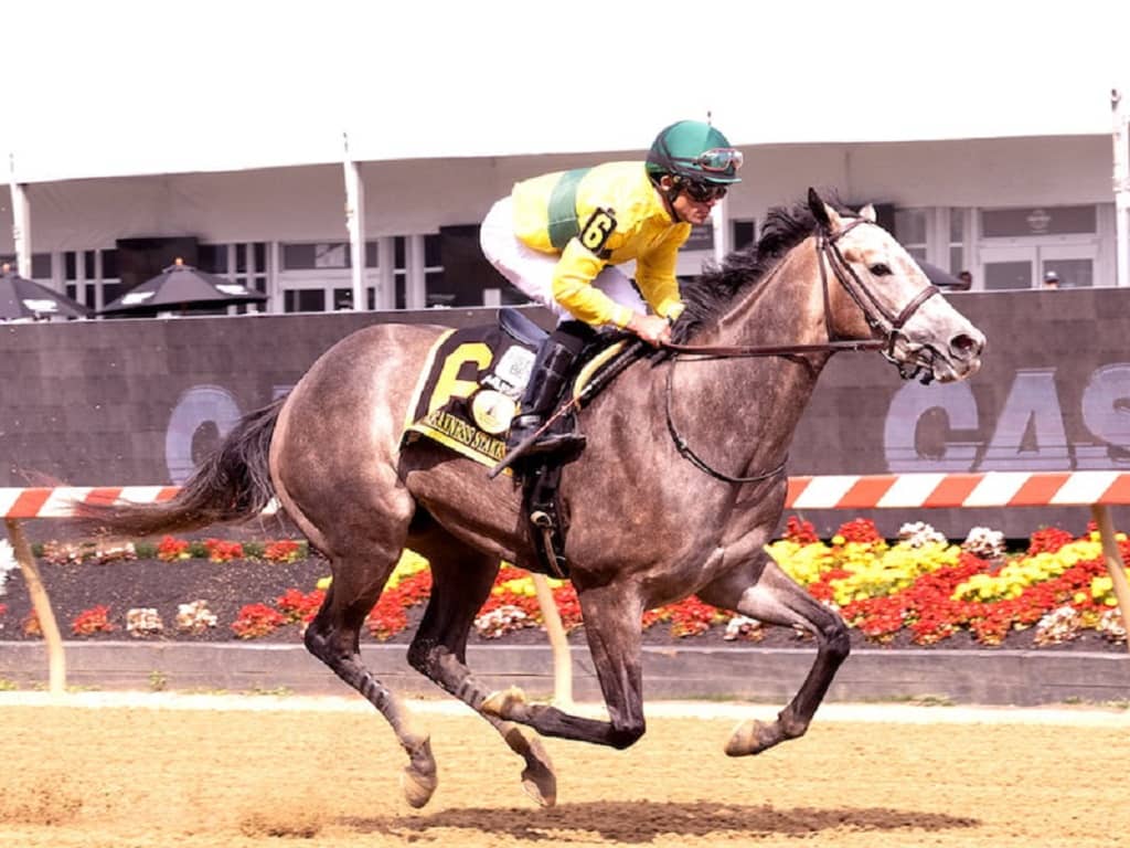 Maple Leaf Mel cruises to victory in the 2023 Miss Preakness S. (G3) - Jim McCue photo