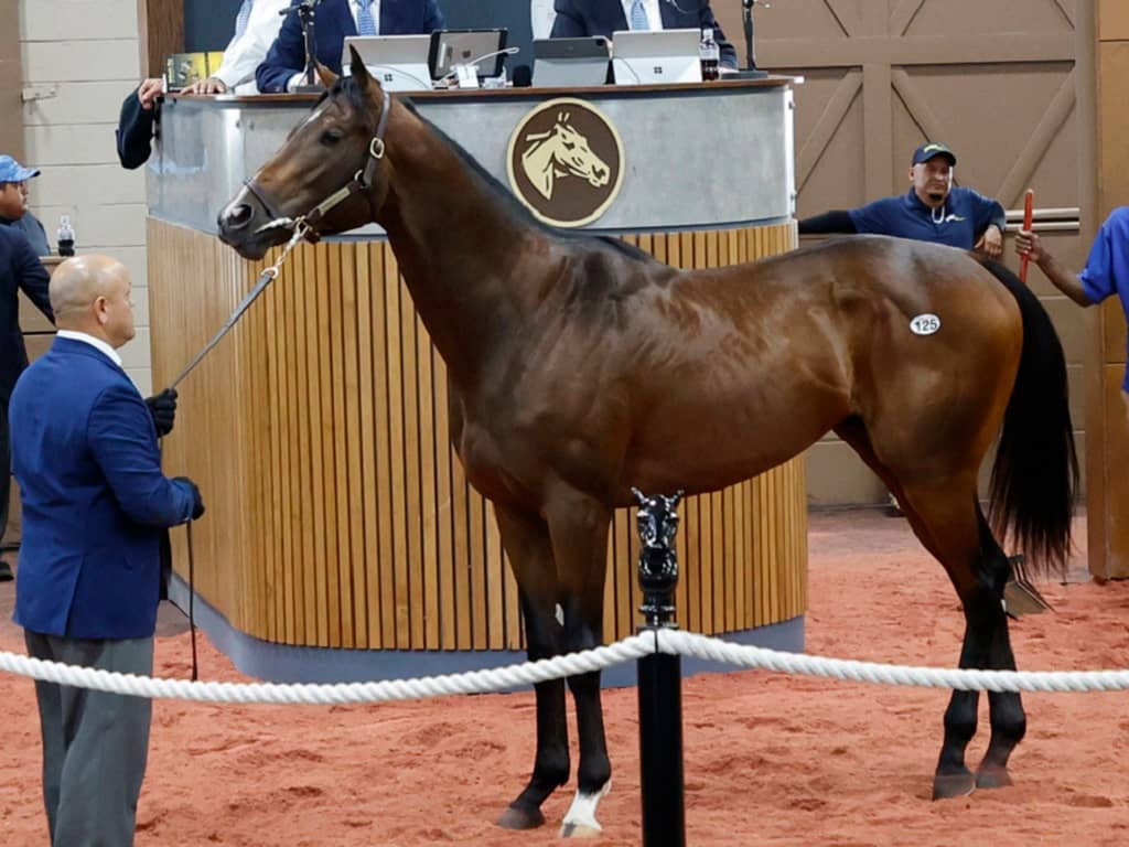 Maximus Mischief's Hip 125, 2023 Fasig-Tipton Midlantic 2 Y-O-in Training Sale - photo by Z