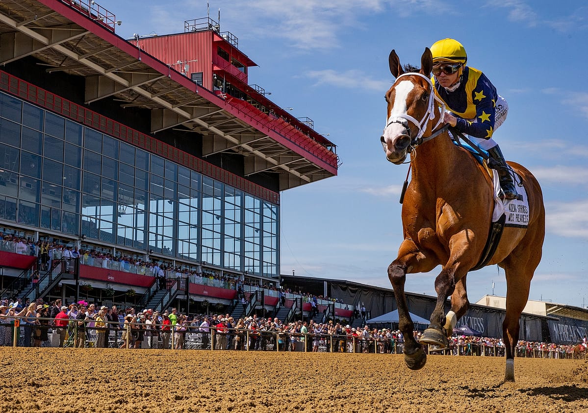 Covfefe (G3) sets NTR in 1:07.70 at Pimlico | Photos by Evers/Eclipse Sportswire/CSM