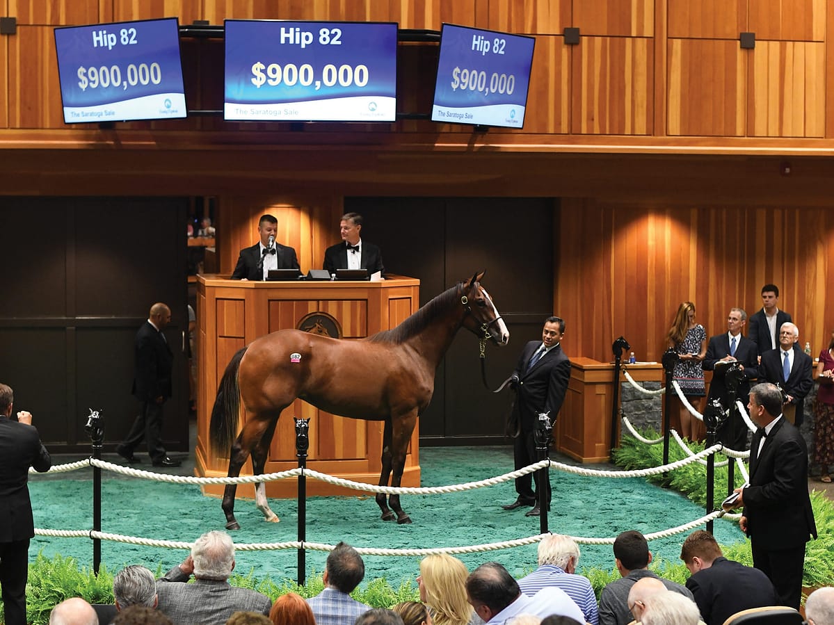 Hip 82 $950,000 filly | Fasig-Tipton Saratoga Yearling Sale | Tibor and Judit photography