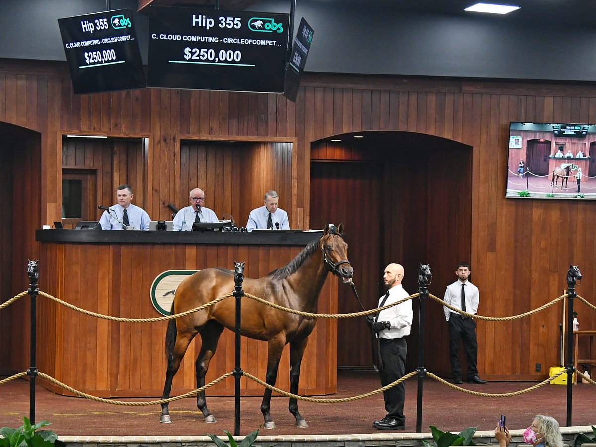 $250,000 colt | Purchased by Mike McCarty | OBS March 2022 | Photo by Judit Seipert