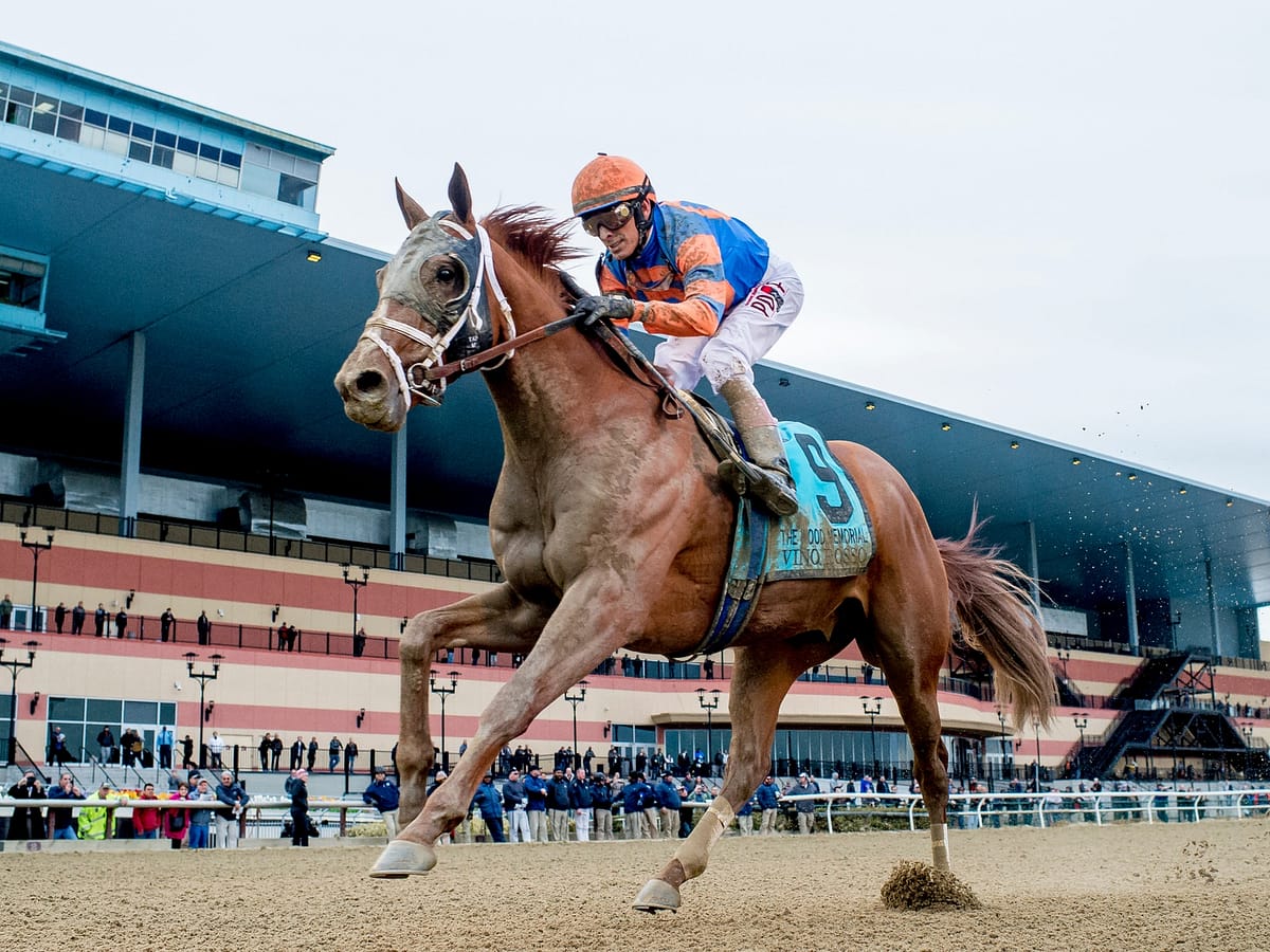 Vino Rosso takes the G2 Wood Memorial Stakes | Photo by Scott Serio/Eclipse Sportswire/Getty Images