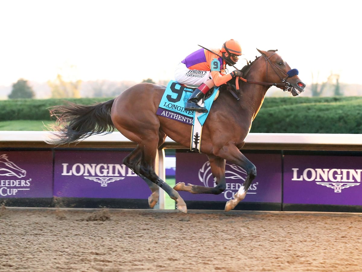 Authentic | Breeders' Cup Champion 2020 | Photo by Coady Photography