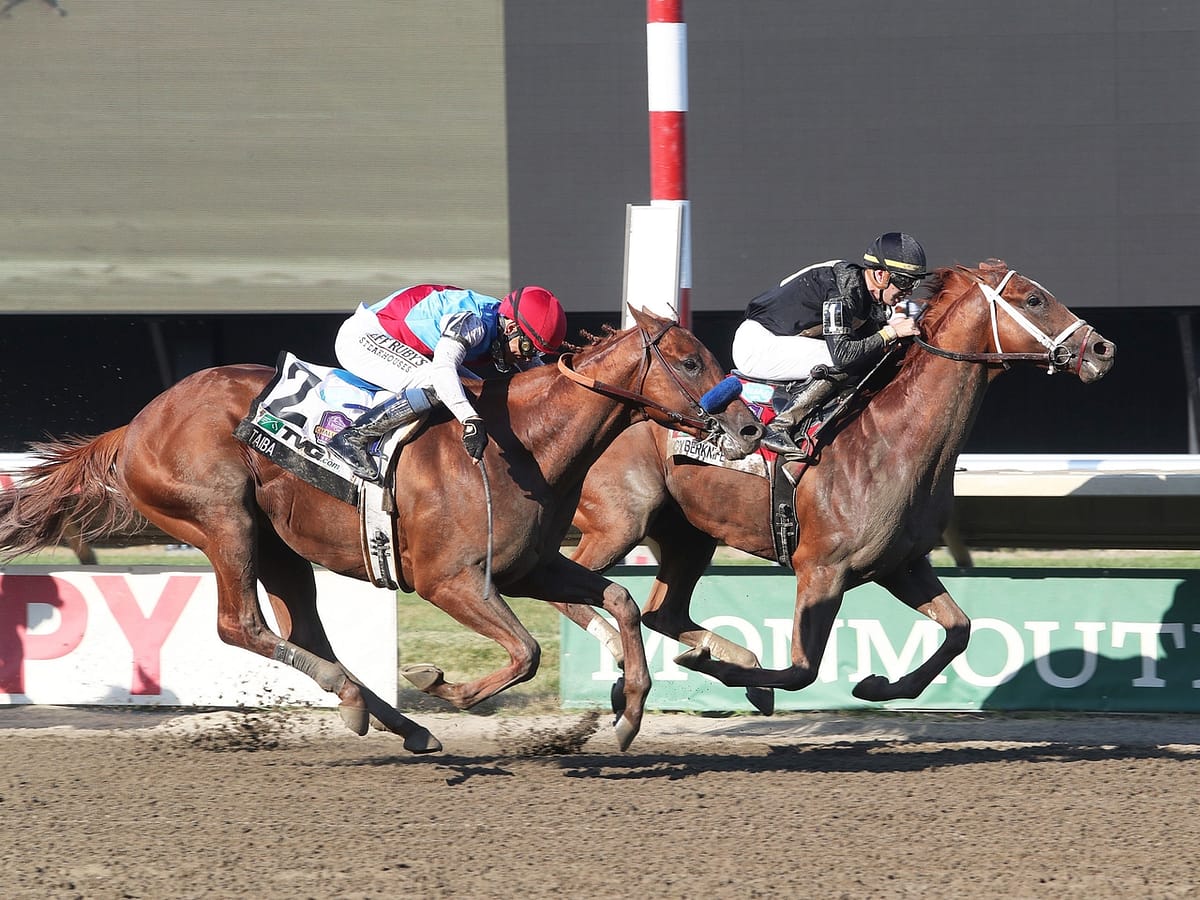 Cyberknife out-finishes Taiba in the 2022 Haskell-G1 | Bill Denver/EQUI-PHOTO