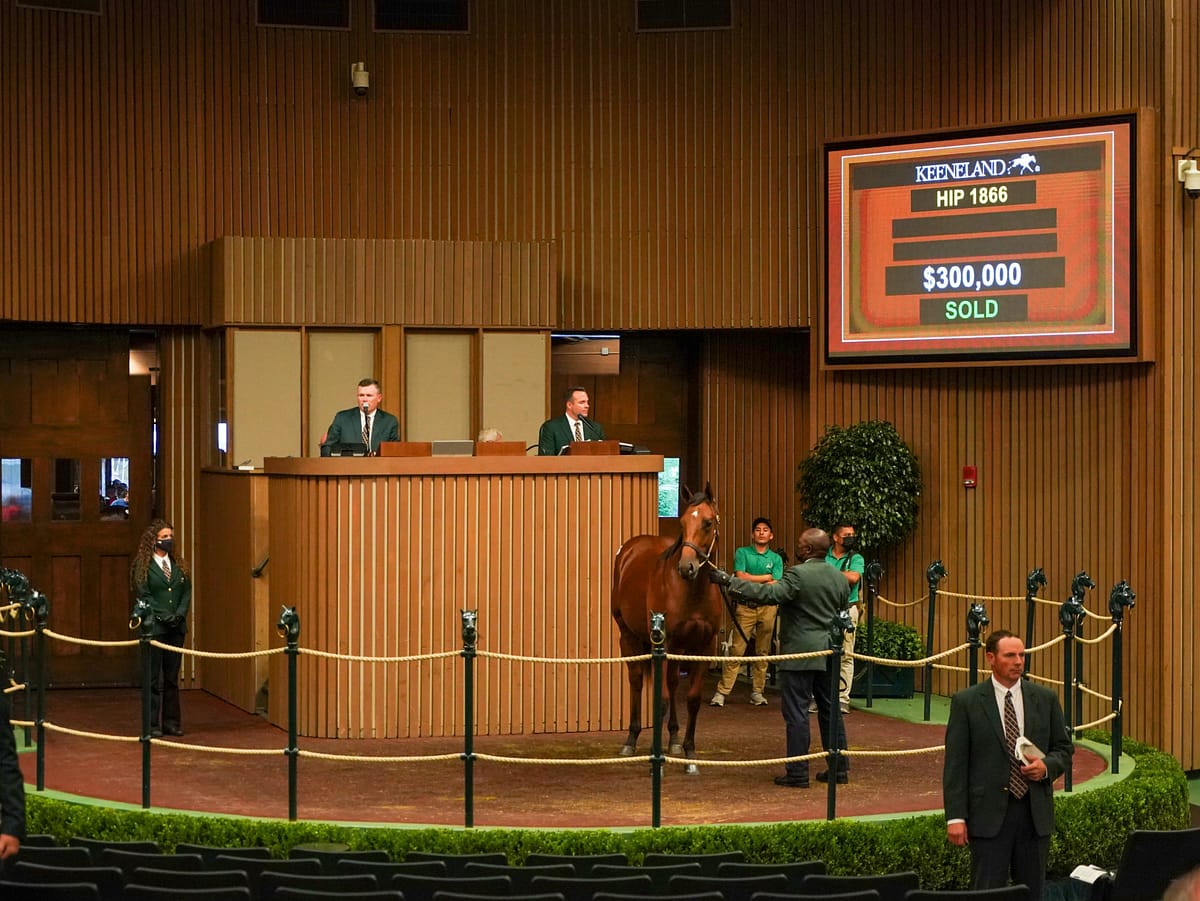 $110,000 | Hip 1866 colt o/o Solid Scam | Purchased by Covington Farm | Keeneland September 2021 | Mathea Kelly Photo