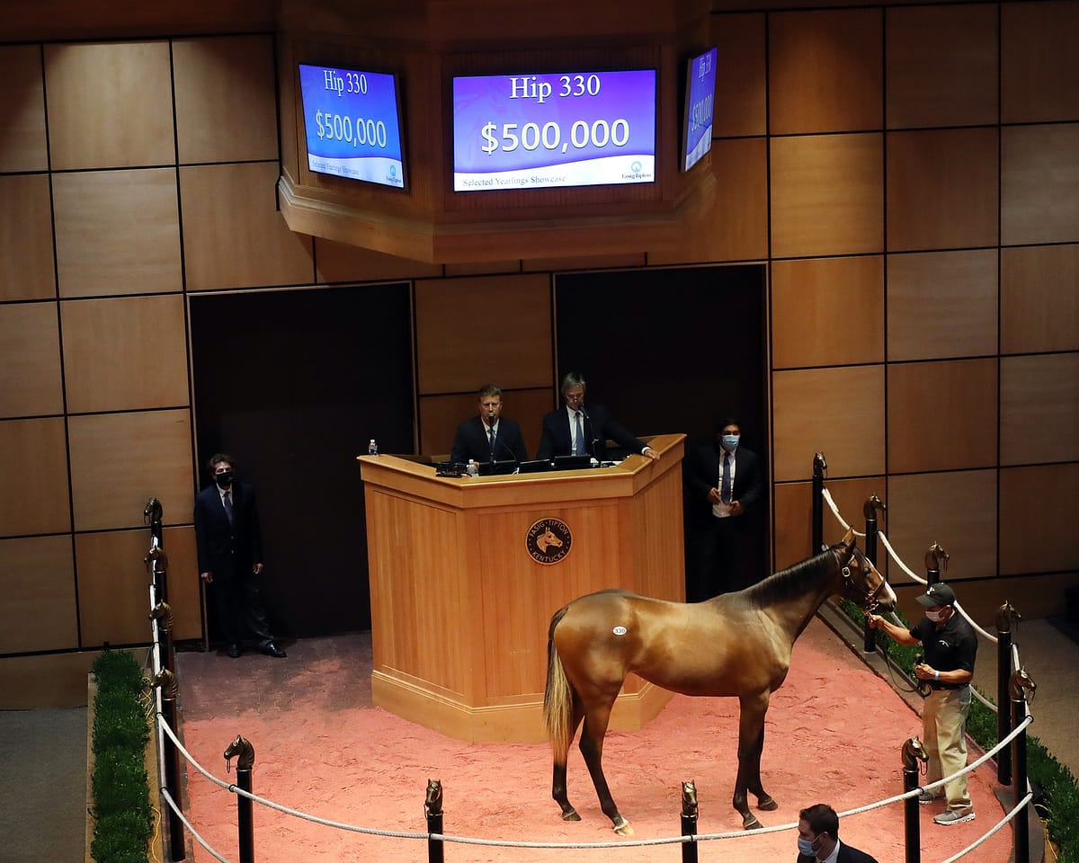 Hip 300 | Filly o/o Rose and Shine | Fasig-Tipton Select Yearling Sale 2020 | Purchased by OXO Equine