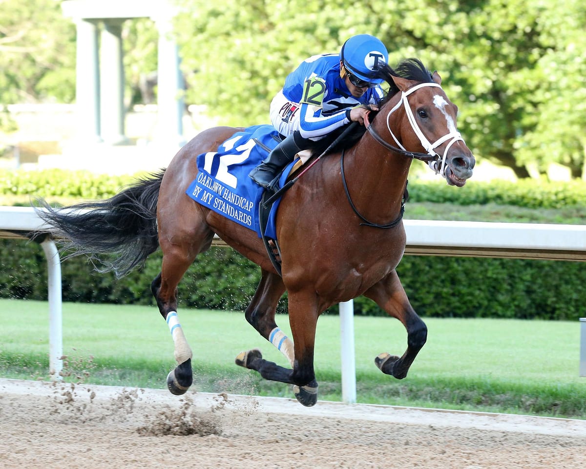 By My Standards | 2020 Oaklawn Handicap G2 | Coady Photography