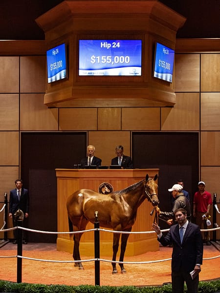 $155,000 colt o/o Franderella | 2021 F-T July Yearlings | Purchased by Eisaman Equine