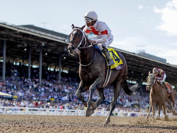 Mitole gets his fourth G1 win of 2019, taking the $2,000,000 Sprint-G1 with a 112 Beyer - fastest of the entire Breeders Cup | Eclipse Sportswire photo
