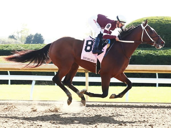 Extra Anejo glides to victory on Oct. 13, 2022 at Keeneland - Coady photography