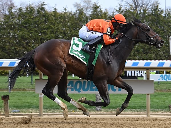 Joey Freshwater gets his first graded win in the Bay Shore S. (G3) at Aqueduct - Susie Raisher/NYRA