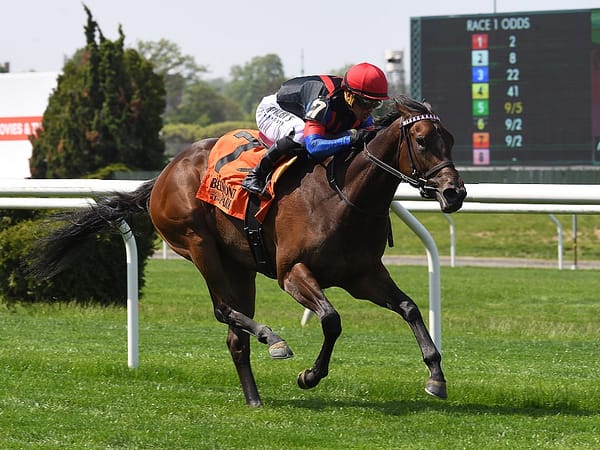 Omaha Beach's Cynane powers to a debut MSW victory May 11 at Belmont Park - Chelsea Durand/NYRA
