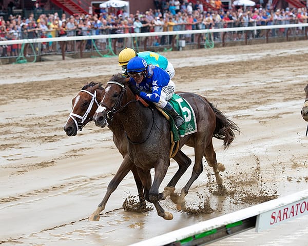 Comical (#50 holds off Kiss the Girl to win the 2019 Schuylerville S. (G3) - Chelsea Durand photo