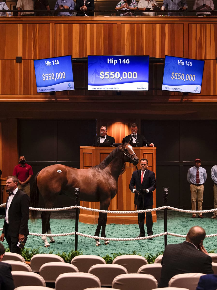 $550,000 | Hip 146 colt o/o Mary Rita | F-T Saratoga 2021 | Purchased by Spendthrift Farm | Bred by Clearsky Farms