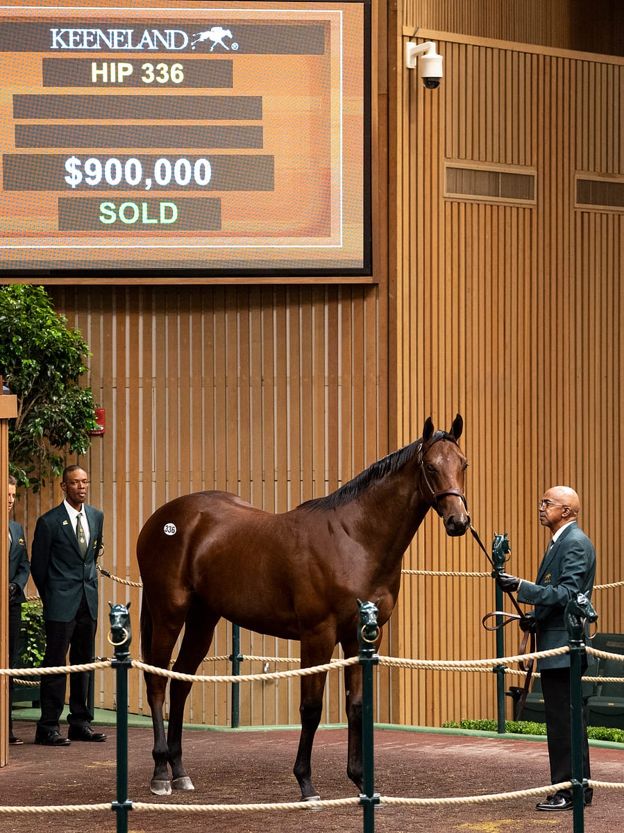 $900,000 | Colt o/o Maybellene | Purchased by Repole Stable | '22 KEESEP | Nicole Finch photo