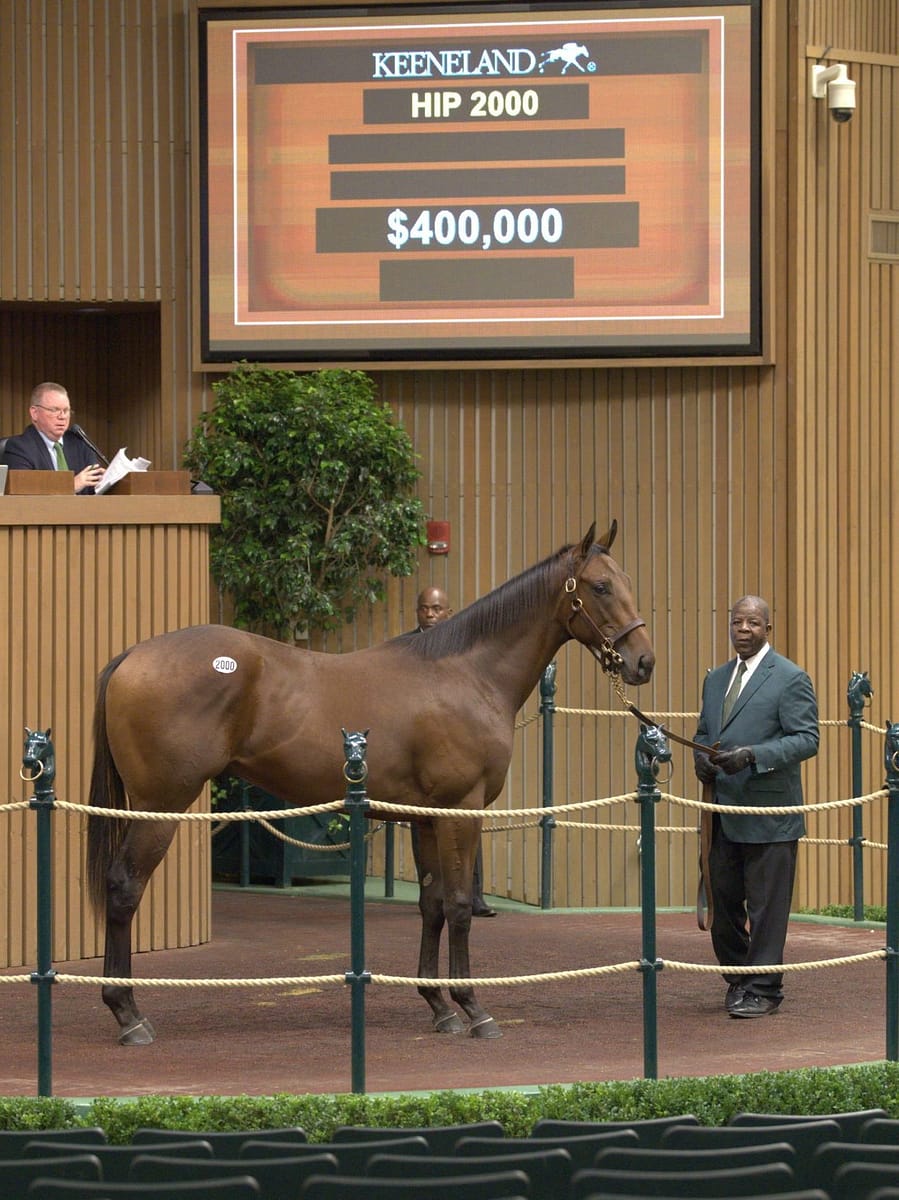 $400,000 | Colt o/o Satisfaction | Purchased by Mike Ryan, Agent | '22 KEESEP | Nicole Finch photo