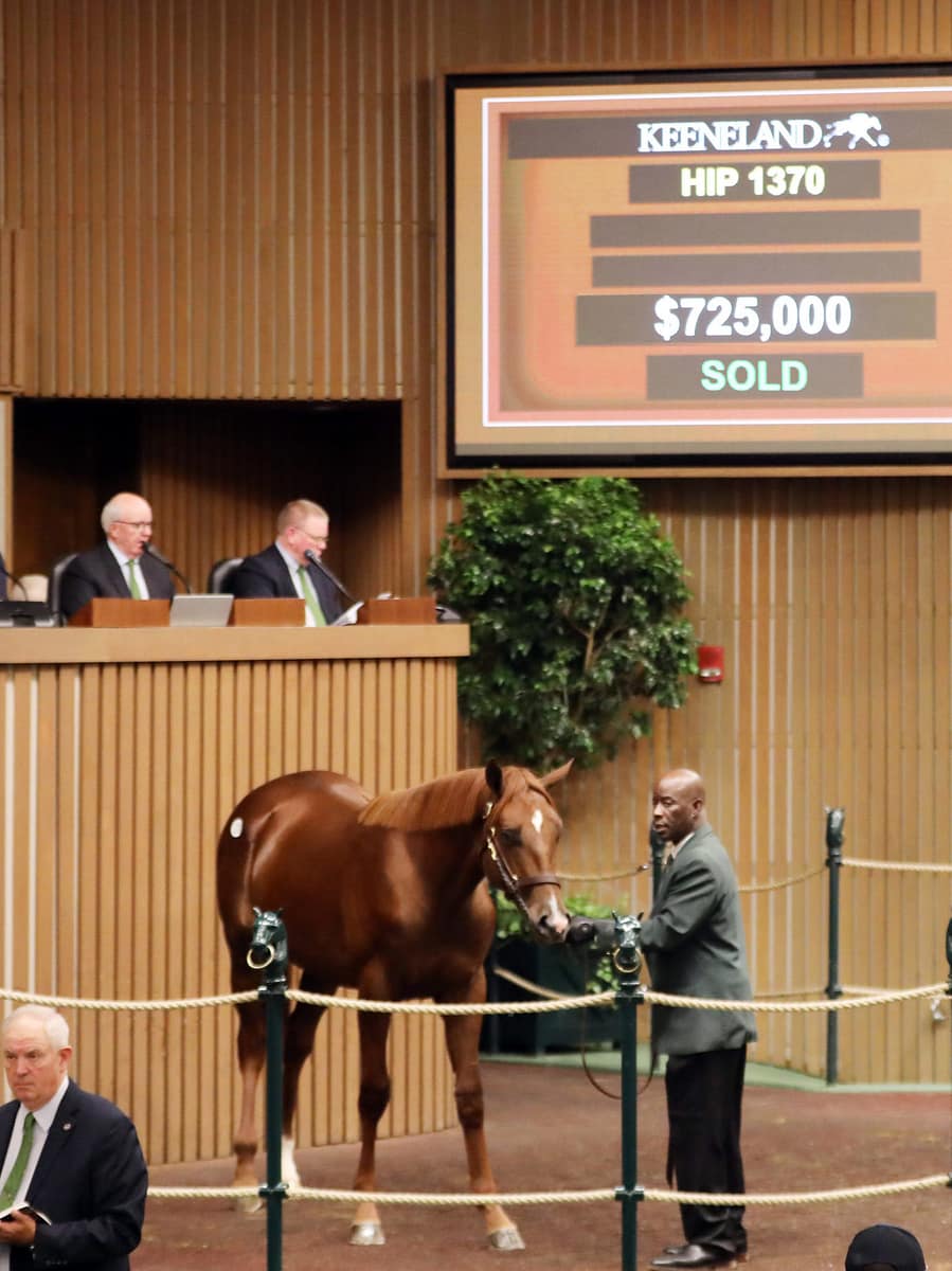 $725,000 | Colt o/o Color Me Flying | Purchased by St. Elias Stables | '22 KEESEP | Nicole Finch photo