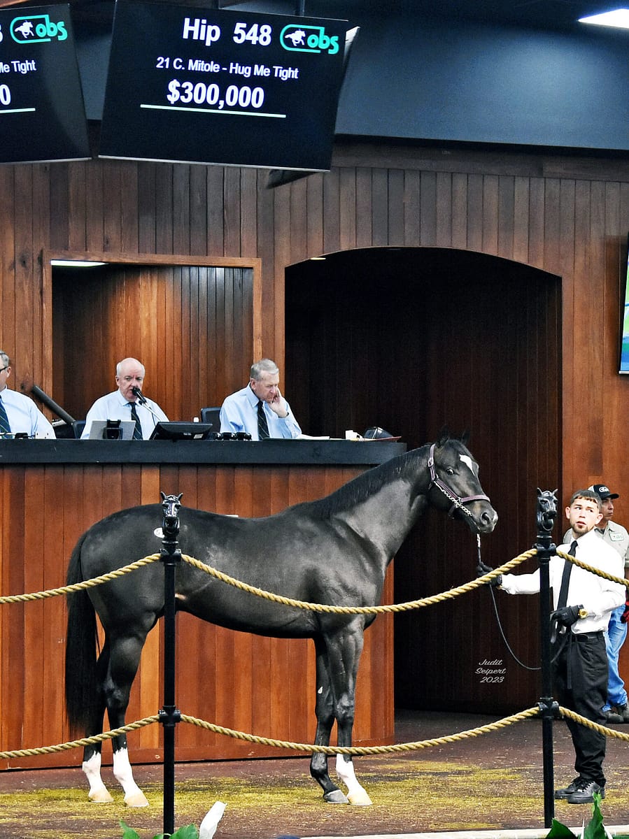 $300,000 | Colt o/o Hug Me Tight | Purchased by Anthony Farrior | '23 OBSMAR | Judit Seipert photo
