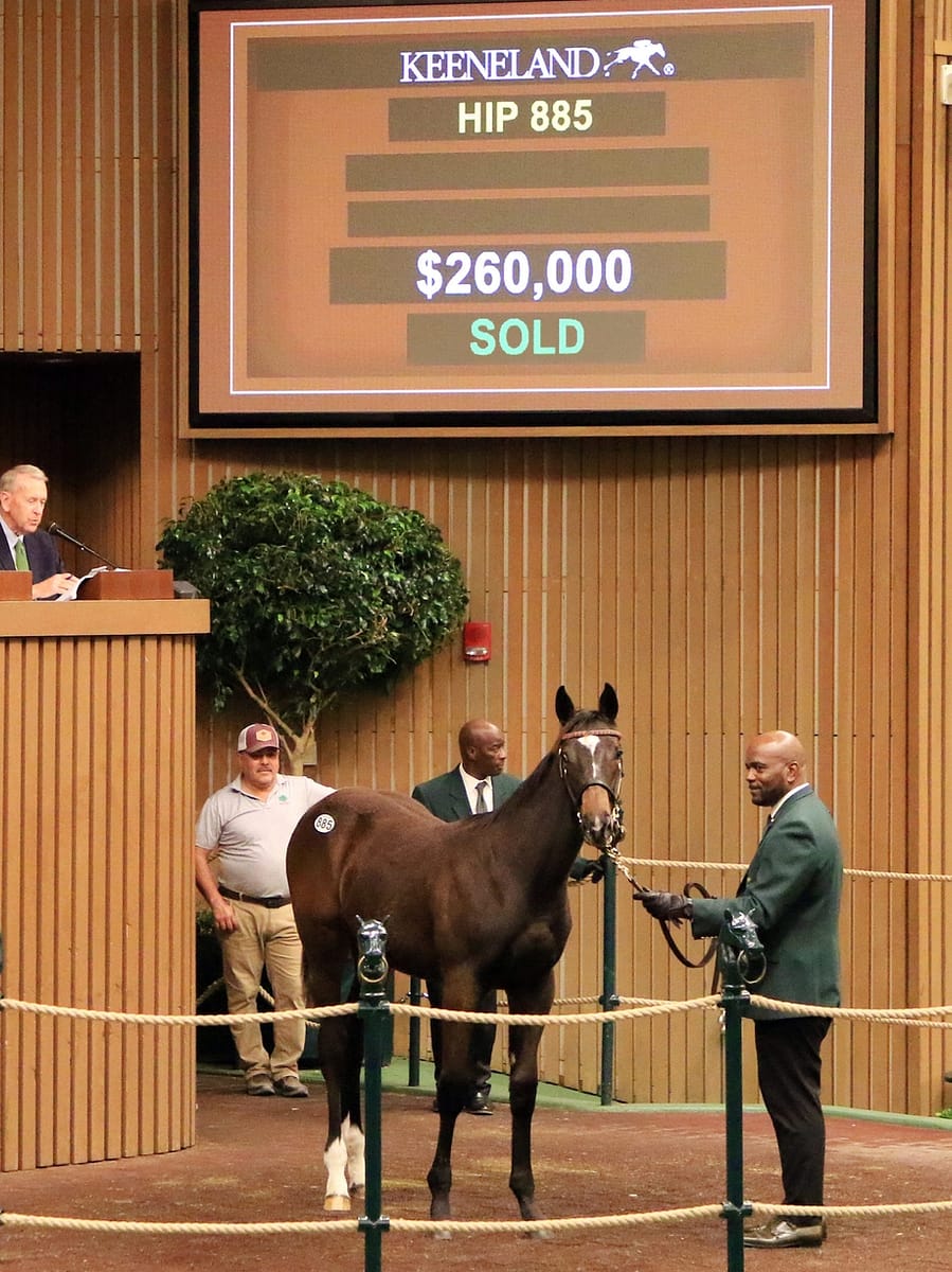 $260,000 at '22 KEENOV | Filly o/o Rebelle | Purchased by AAA Thoroughbreds | Nicole Finch photo