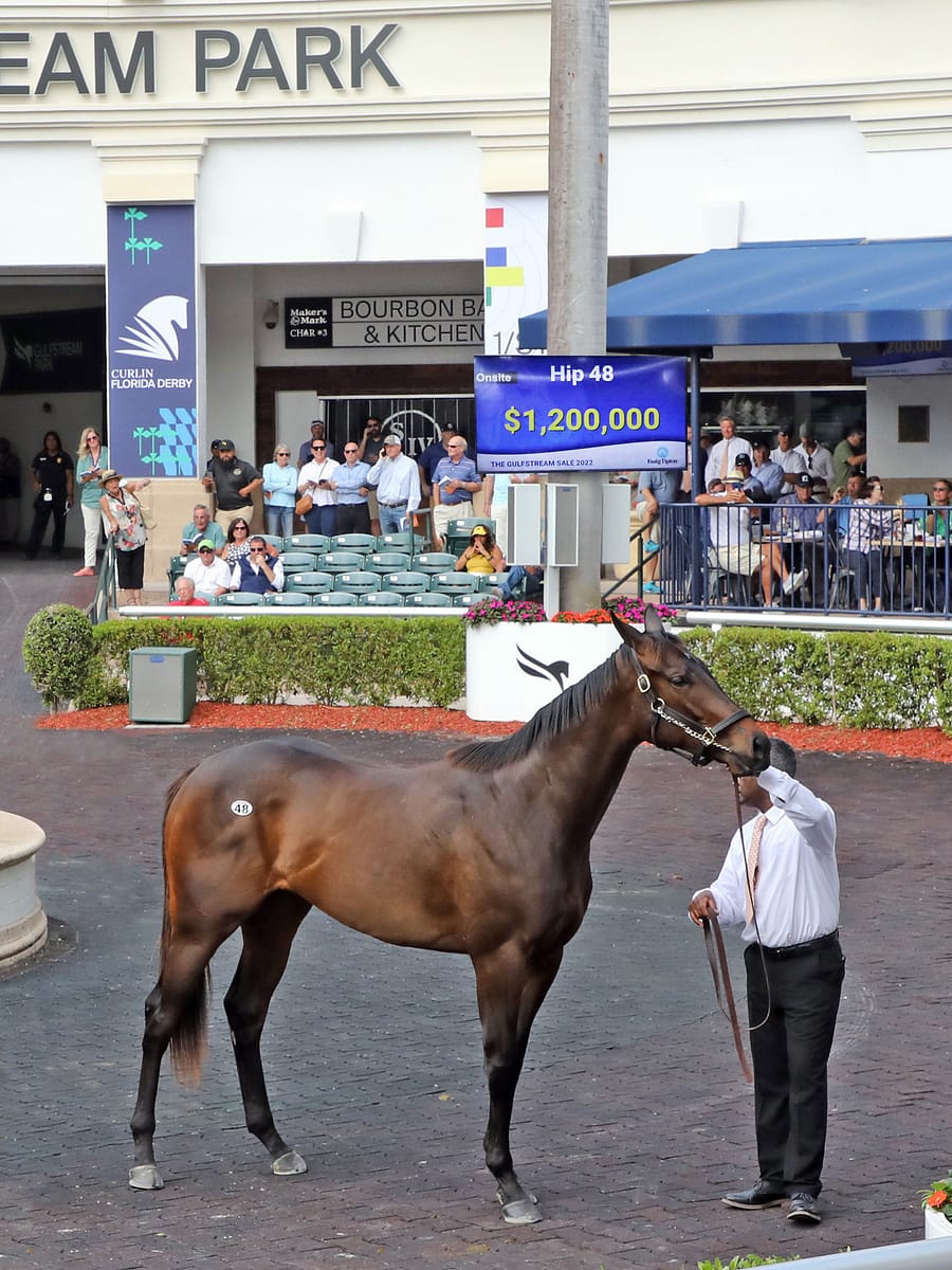 $1,200,000 filly | Sale topper at 2022 F-T Gulfstream | Hip 48 o/o Rich Love | Purchased by Spendthrift | Z photo