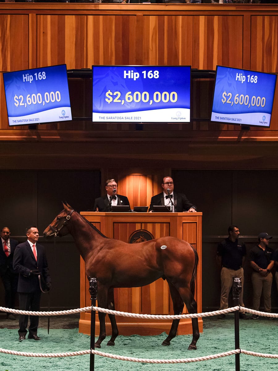 $2.6 million | Hip 168 colt o/o Paola Queen | Purchased by M. V. Magnier (Coolmore Stud) | Bred by Don Alberto