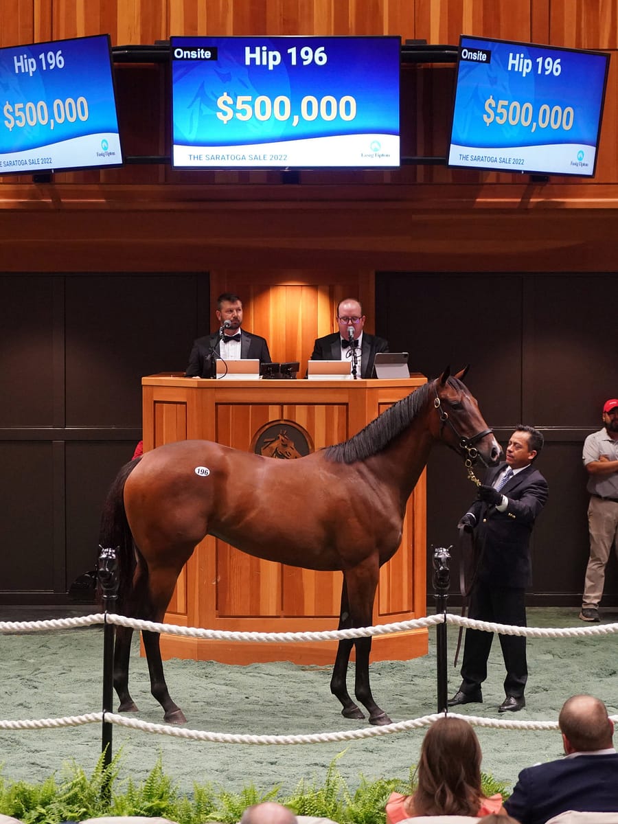 $500,000 | Hip 196, filly o/o Glory Gold | Purchased by Lael Stables | '22 F-T Saratoga | Z photo