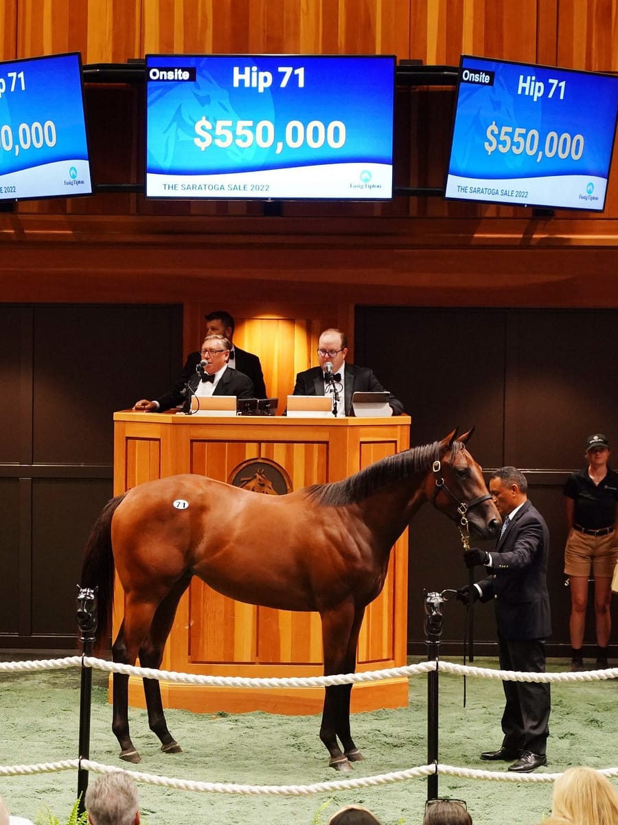 $550,000 filly | Hip 71 o/o Shaken | Purchased by Lael Stables | 22 F-T Saratoga | Z photo