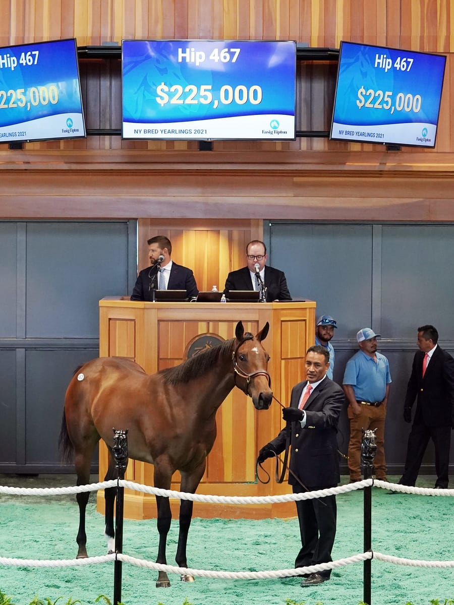 $225,000 | Hip 467 filly o/o Literary Lady | F-T NY Bred 2021 | Purchased by Eddie Woods