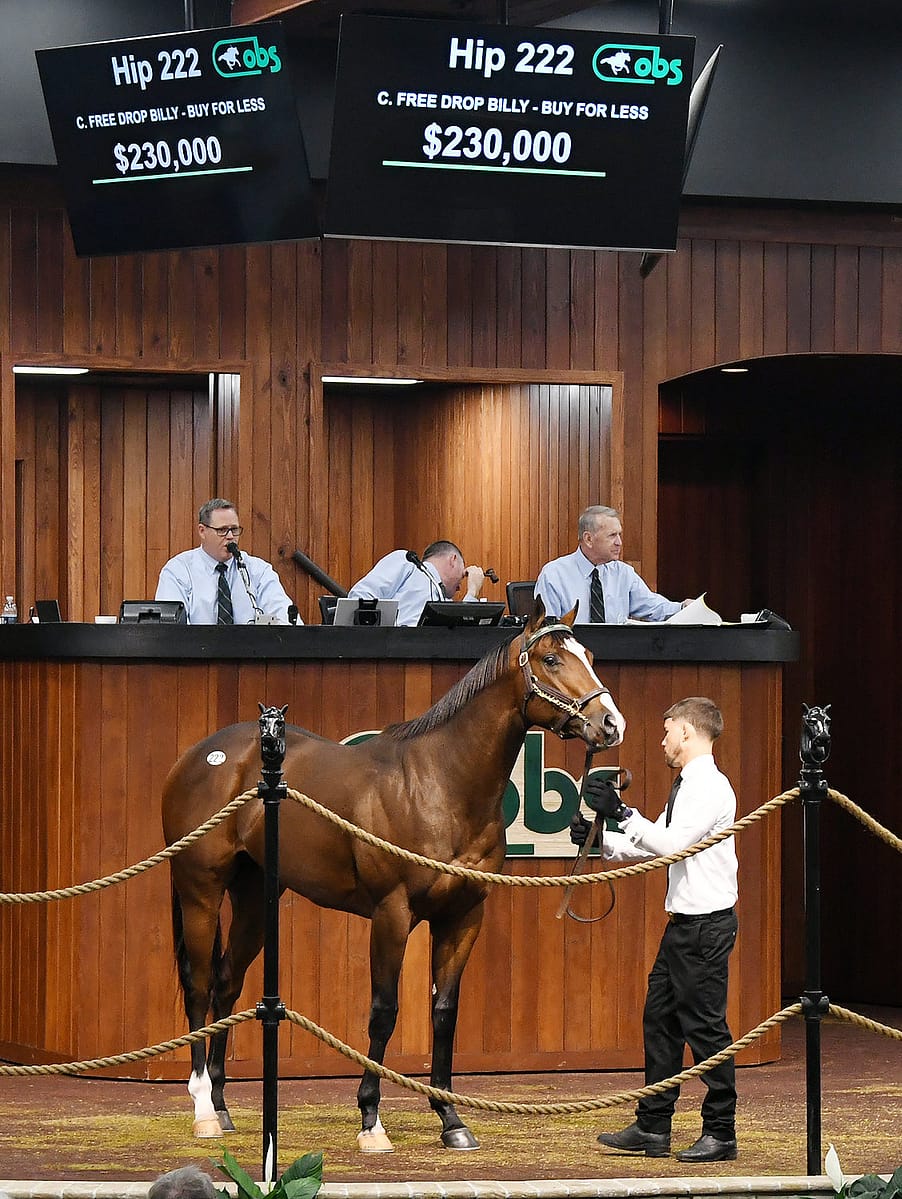 $230,000 colt | Purchased by Yoshimasa Ema | Bred by Mullikin Thoroughbreds | 2022 OBSAPR | Judit photo