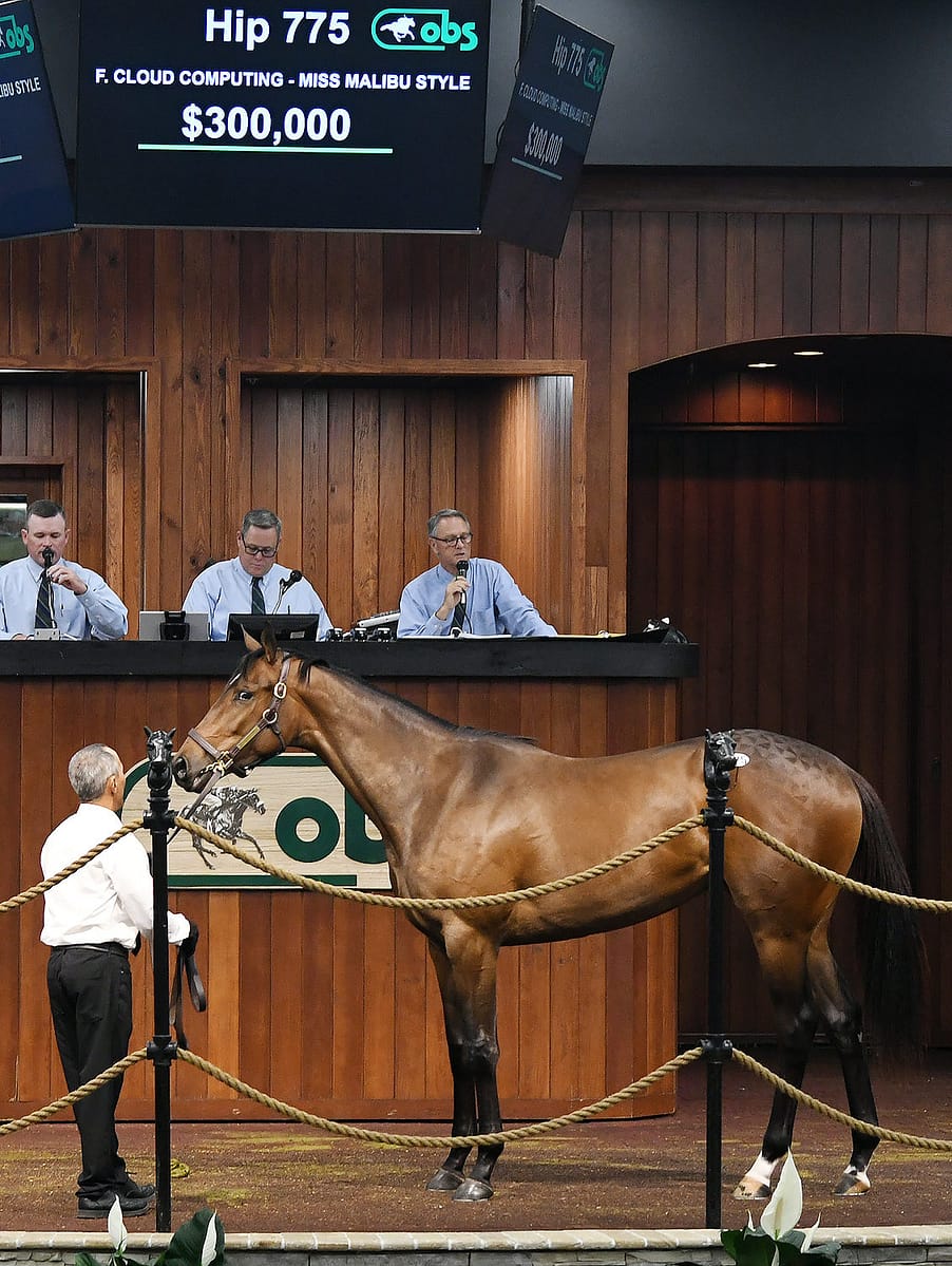 $300,000 filly | Hip 775 o/o Miss Malibu Style | Purchased by Mike Ryan | Judit Seipert photo