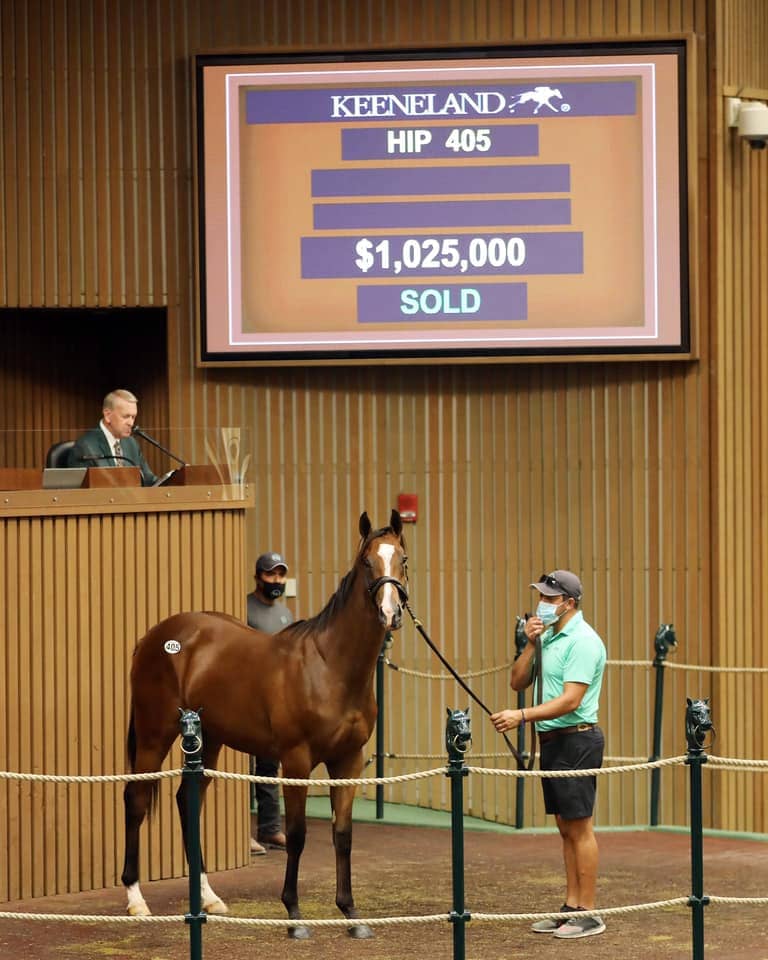 Hip 405 $1,025,000 filly o/o Special Me | Purchased by BSW / Crow | Keeneland September 2020 | Photo by Z