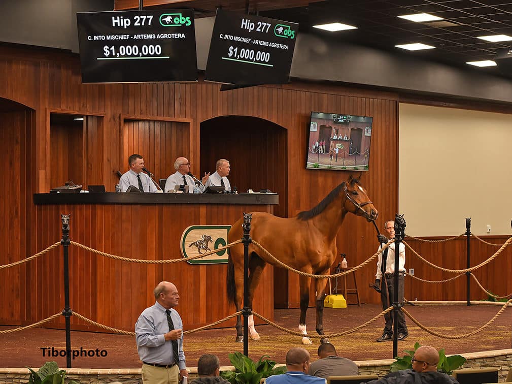 $1 million colt | Hip 277 o/o Artemis Agrotera | Purchased by Spendthrift Farm & BSW/Crow Colts Group, Broman | Tibor Photo