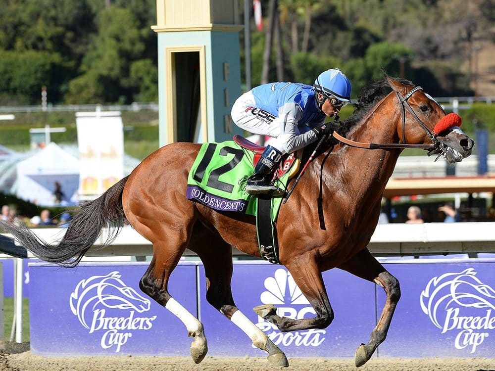 Goldencents 2013 Breeders' Cup Dirt Mile G1