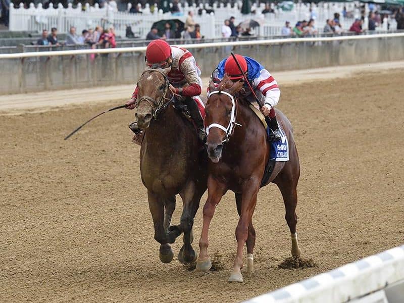 Practical Joke (left) 2016 Champagne S. G1