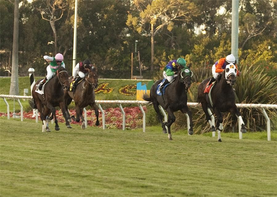 Temple City 2010 Hollywood Turf Cup G1