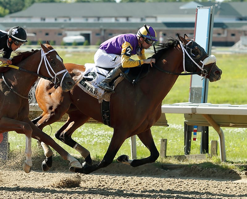 Owendale takes Ohio Derby (G3) to cap big day for Into Mischief