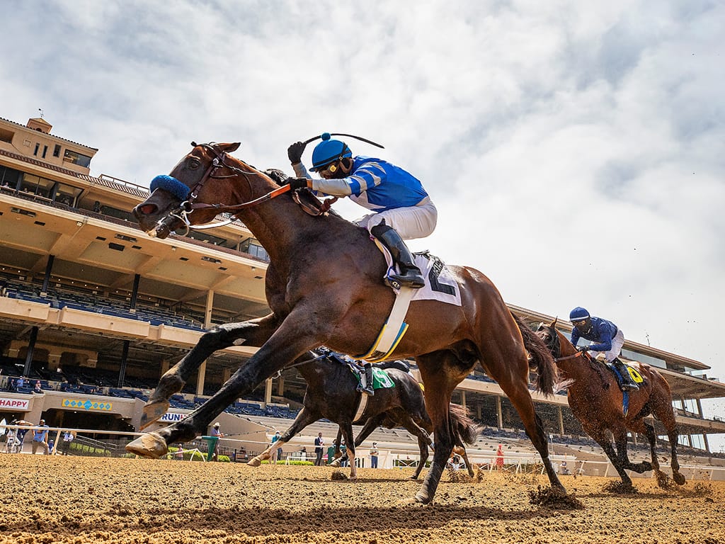 Thousand Words Defeats Honor A. P., Earns Trip To Kentucky Derby ...