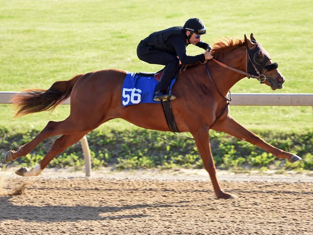 Gormley colt goes for 425,000 at FasigTipton 2yo opener Spendthrift A Kentucky