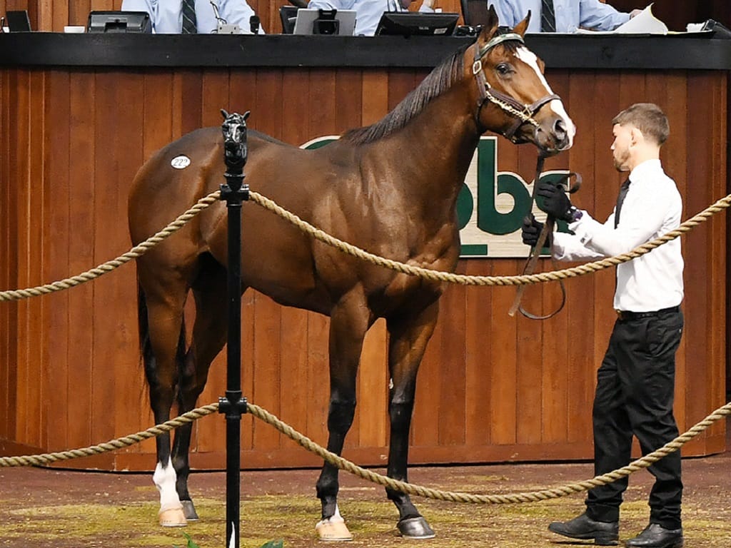 Free Drop Billy kicks off OBS 2yo sale with 230,000 colt Spendthrift